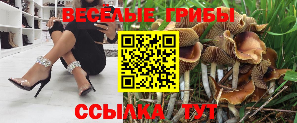 Галлюциногенные грибы Cubensis Химки
