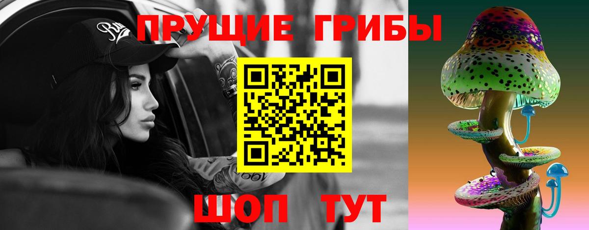 Псилоцибиновые грибы Psilocybe  Вход с VPN  Галлюциногенные грибы Psilocybine cubensis  Химки 